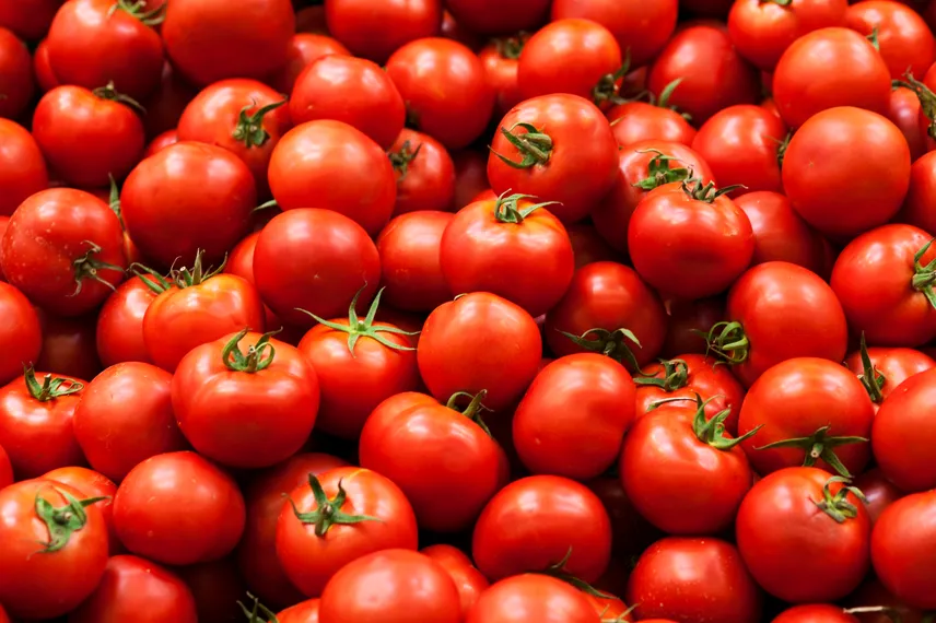 panzani_les_engagements_tomates