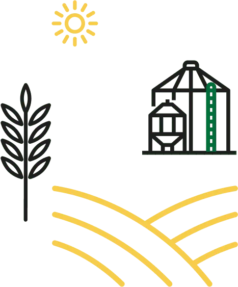 illustration champ de blé
