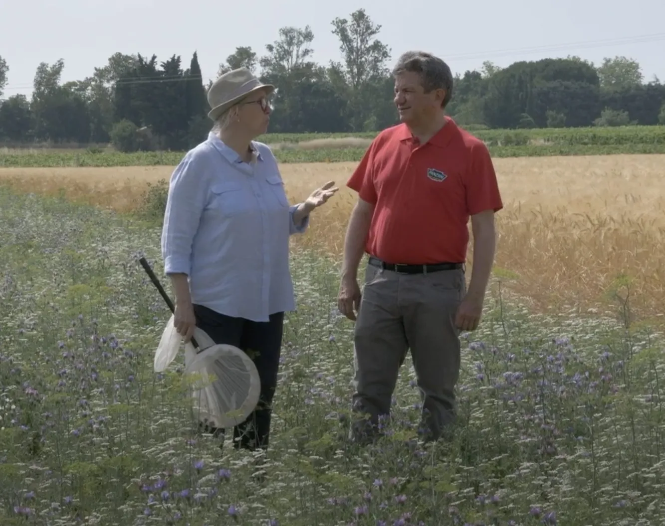 deux personnes dans un champ de blé