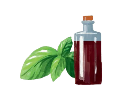 Basilic et vinaigre balsamique de Modène IGP