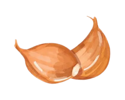 Ail rissolé