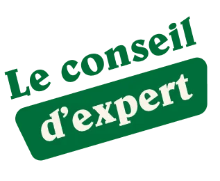 logo conseil expert