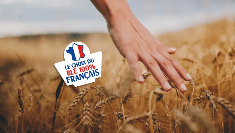 blé français