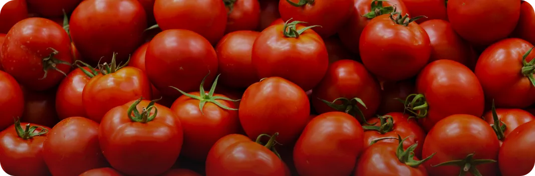 Bannière promotionnelle Panzani sur les produits à base de tomate, offres spéciales et saveurs estivales.